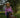 Women's Arena Shirt - Magenta Check - STOCKMAN N CO