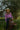 Women's Arena Shirt - Magenta Check - STOCKMAN N CO