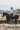 Women’s Dress Shirt - STOCKMAN N CO
