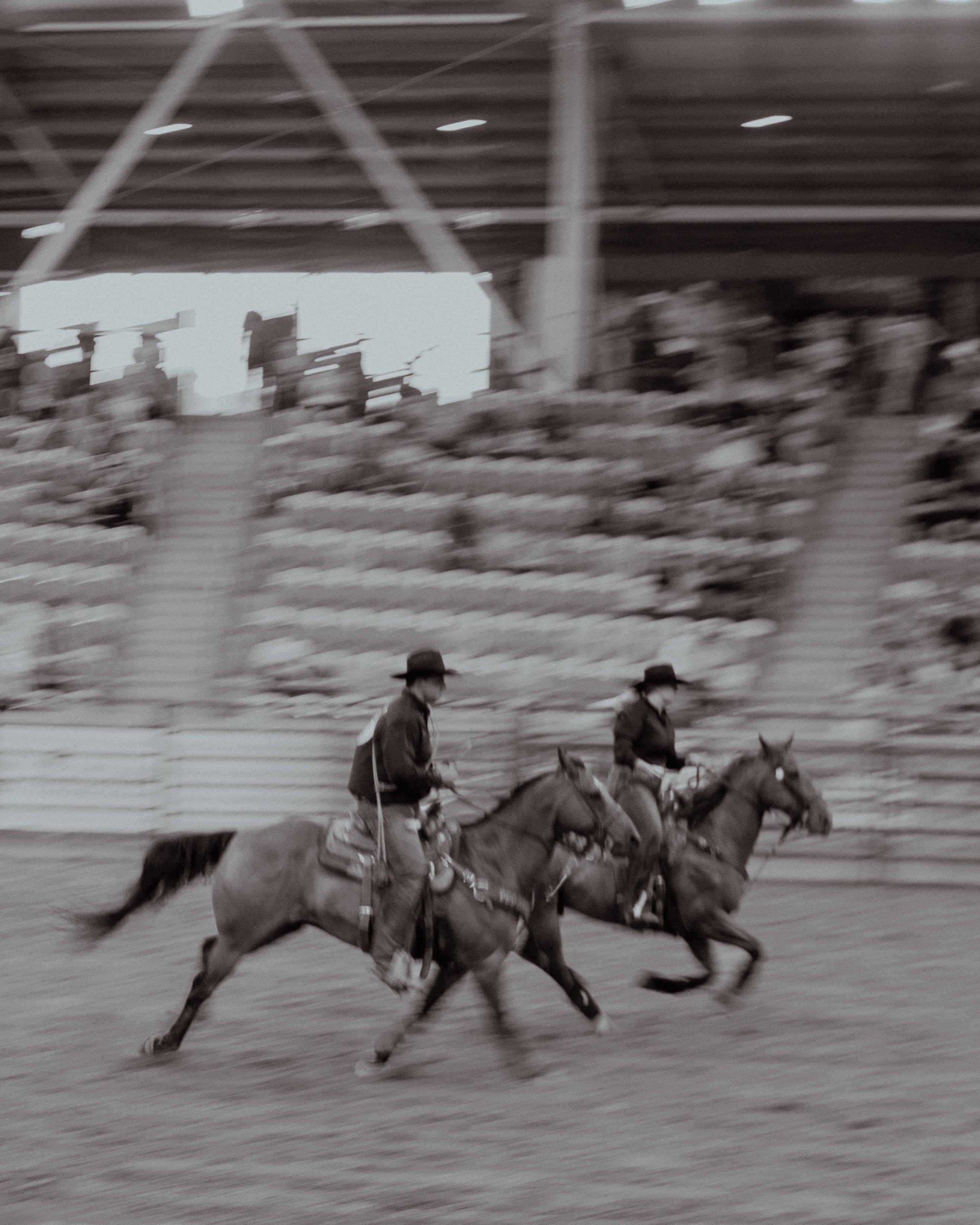 Gold Buckle Arena Shirt Series