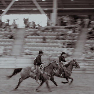 Gold Buckle Arena Shirt Series