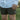 Mens Rugby Shorts