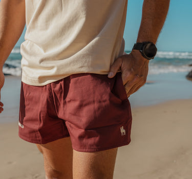 Men's Rugby shorts - Maroon
