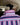 Gold Buckle Series Women's Arena Shirt - Pink & Navy Wide Stripe - STOCKMAN N CO