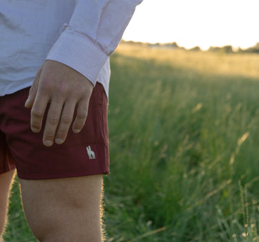 Men's Rugby shorts - Maroon