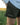 Men's Rugby shorts - Army Green - STOCKMAN N CO