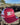 Kembla Station Maroon/White Trucker Cap - STOCKMAN N CO