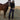 Women's Dark Wash Turnback Jeans - STOCKMAN N CO