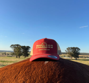 Red Denim Trucker Cap