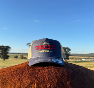 Navy Denim Trucker Cap