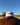 White and Midnight Blue Trucker Cap - STOCKMAN N CO