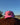 Electric Pink and Black Trucker Cap - STOCKMAN N CO