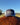 The Station Outfitters Trucker - STOCKMAN N CO