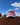 Rose and Red Trucker Cap - STOCKMAN N CO