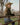 Women's Light Wash Turnback Jeans