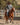 Mens Forbes Half Zip - STOCKMAN N CO